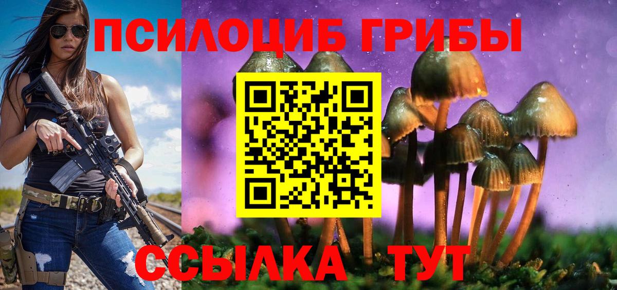 Псилоцибиновые грибы MAGIC MUSHROOMS Кулебаки