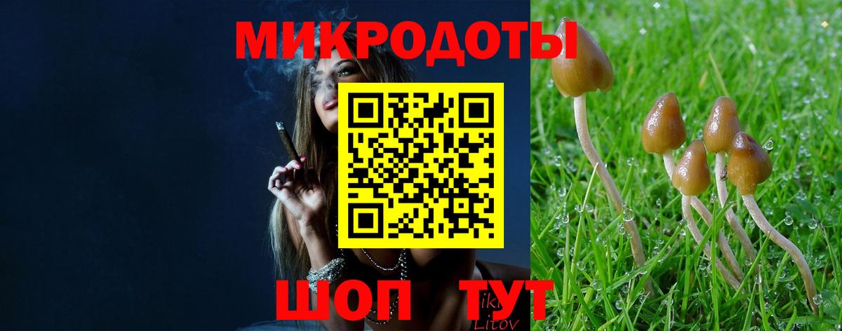 Кулебаки  Галлюциногенные грибы Psilocybine cubensis  Вход с VPN 